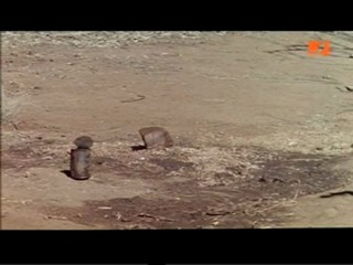 The Gods Must Be Crazy 2