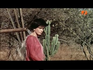 The Gods Must Be Crazy 2