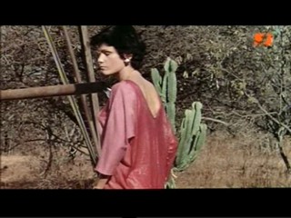 The Gods Must Be Crazy 2