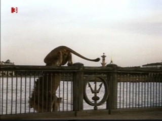 Die unglaubwÃ¼rdiger Abenteuer der Italiener in Russland