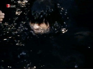 Die unglaubwÃ¼rdiger Abenteuer der Italiener in Russland