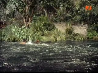 TarzanÂ´s Fight For Life