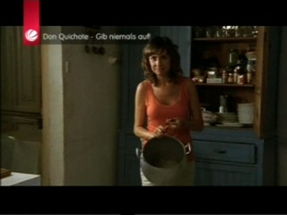 Don Quichote - Gib niemals auf