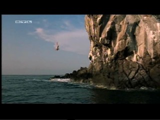 Club Mad, Club Dread