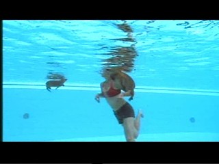 Documentary about capybaras