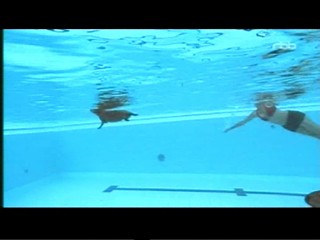 Documentary about capybaras