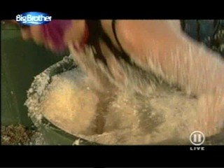 Big Brother - Germany