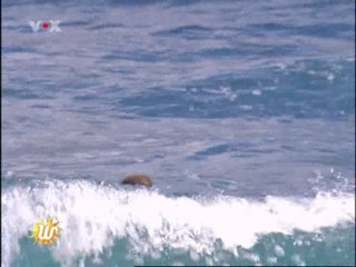 Voxtours - Teneriffa