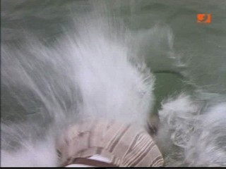 Alistair Mac LeanÂ´s Night Watch