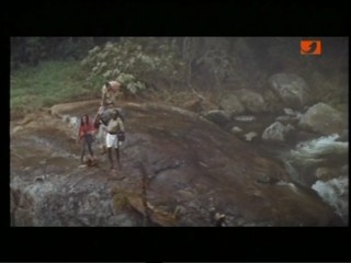 Tarzan And The Jungle Boy