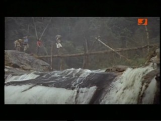 Tarzan And The Jungle Boy