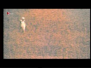 Lorrie Morgan - If You Came Back