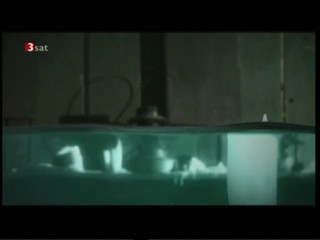 The Duhks - Out Of The Rain