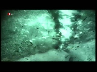 The Duhks - Out Of The Rain