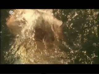 KÃ¼ss mich Hexe - Kiss Me Witch