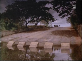 Dead Men Can't Dance