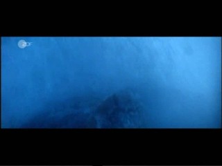 Cutthroat Island - Die Piratenbraut