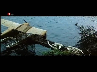 Der Buschpilot  - L' Africain