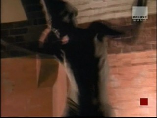 Mick Jagger - Sweet Thing