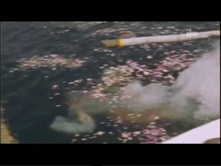 Das Traumhotel - Der Zauber Von Bali