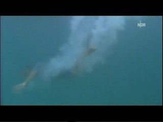 Das Traumhotel - Der Zauber Von Bali