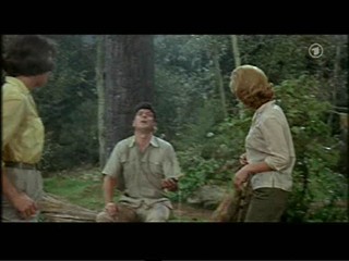 ManÂ´s Favorite Sport