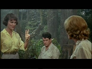 ManÂ´s Favorite Sport