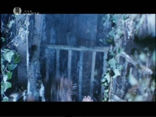 Candyman 2: Farewell To The Flesh