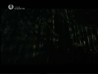 Candyman 2: Farewell To The Flesh