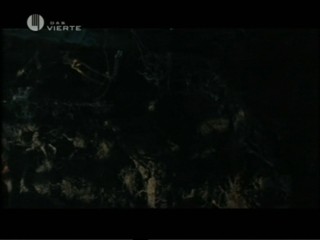 Candyman 2: Farewell To The Flesh