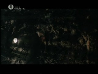 Candyman 2: Farewell To The Flesh