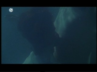 VerfÃ¼hrt - Eine gefÃ¤hrliche Affaire