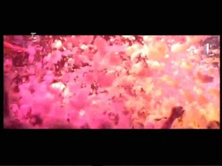 Der Partykoenig Von Ibiza - People Jet-Set 2