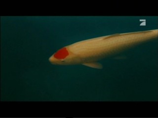 Der Fischer und seine Frau