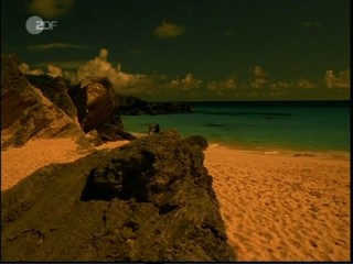 Verliebt auf Bermuda