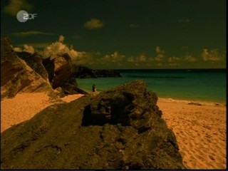 Verliebt auf Bermuda