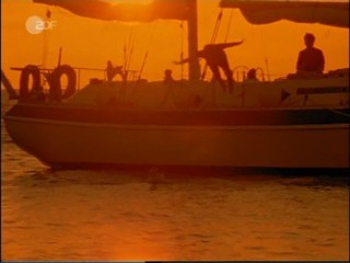 Verliebt auf Bermuda