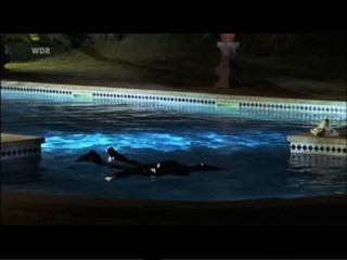 Sieben Tage im Paradies