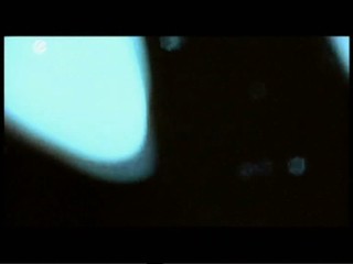 FC Venus - Frauen am Ball