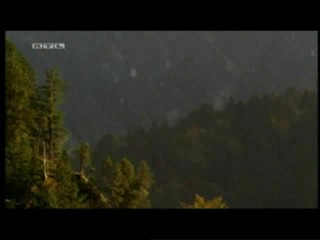 Die Jagd nach dem Schatz der Nibelungen