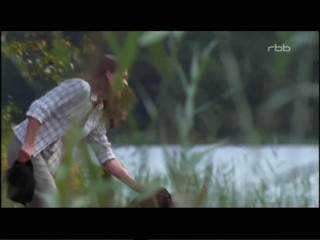 Der Sommer des GlÃ¼cklichen Narren