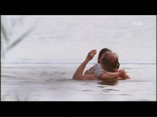 Der Sommer des GlÃ¼cklichen Narren