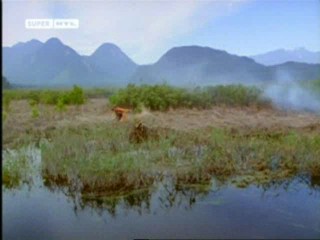 Voyage of the Unicorn