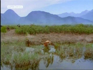 Voyage of the Unicorn