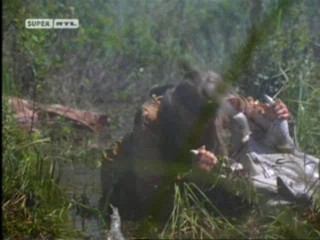 Voyage of the Unicorn