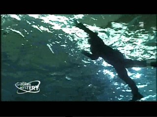 Going Overboard (simulation)