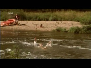 Liebe auf vier Pfoten