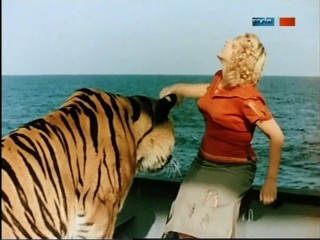 Rette sich wer kann - ÐŸÐ¾Ð»Ð¾ÑÐ°Ñ‚Ñ‹Ð¹ Ñ€ÐµÐ¹Ñ