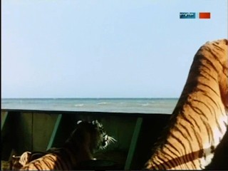 Rette sich wer kann - ÐŸÐ¾Ð»Ð¾ÑÐ°Ñ‚Ñ‹Ð¹ Ñ€ÐµÐ¹Ñ