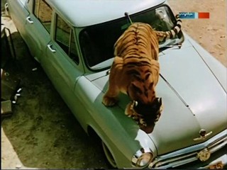 Rette sich wer kann - ÐŸÐ¾Ð»Ð¾ÑÐ°Ñ‚Ñ‹Ð¹ Ñ€ÐµÐ¹Ñ